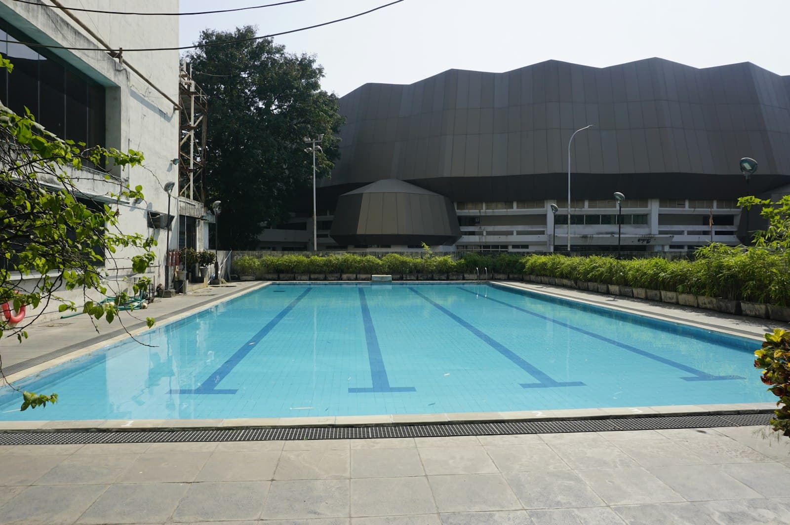 Empty outdoor swimming pool with clear blue water framed by manicured hedges